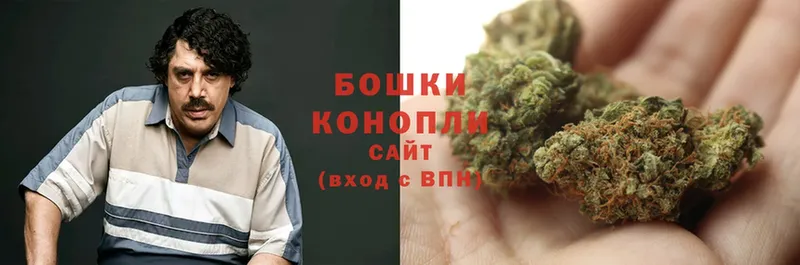 Бошки марихуана Ganja  ОМГ ОМГ зеркало  Камышин 